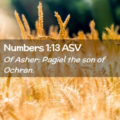 Picture 02 - Numbers 1:13 ASV - Of Asher: Pagiel the son of - Bible Verse Picture