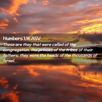 Picture 02 - Numbers 1:16 ASV - These are they that were called of the - Bible Verse Picture