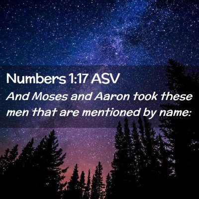 Picture 02 - Numbers 1:17 ASV - And Moses and Aaron took these men that are - Bible Verse Picture