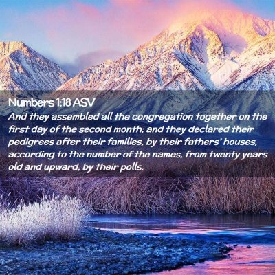 Picture 02 - Numbers 1:18 ASV - And they assembled all the congregation together - Bible Verse Picture
