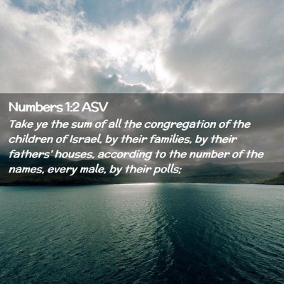 Picture 02 - Numbers 1:2 ASV - Take ye the sum of all the congregation of the - Bible Verse Picture