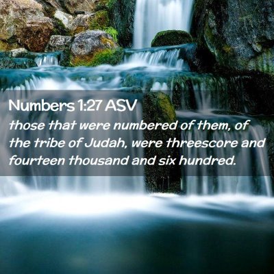 Picture 02 - Numbers 1:27 ASV - those that were numbered of them, of the tribe of - Bible Verse Picture