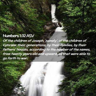 Picture 02 - Numbers 1:32 ASV - Of the children of Joseph, `namely', of the - Bible Verse Picture