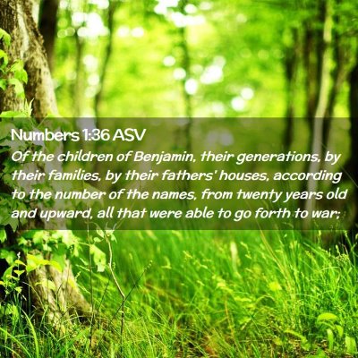 Picture 02 - Numbers 1:36 ASV - Of the children of Benjamin, their generations, - Bible Verse Picture