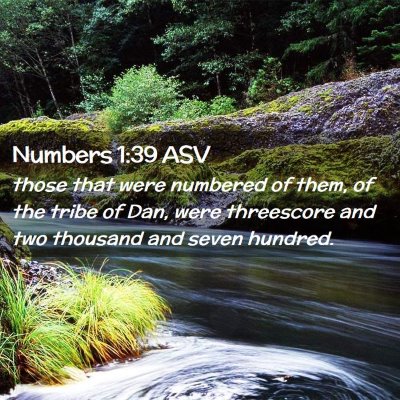 Picture 02 - Numbers 1:39 ASV - those that were numbered of them, of the tribe of - Bible Verse Picture
