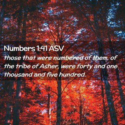 Picture 02 - Numbers 1:41 ASV - those that were numbered of them, of the tribe of - Bible Verse Picture