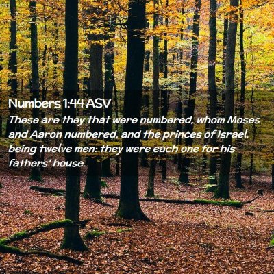 Picture 02 - Numbers 1:44 ASV - These are they that were numbered, whom Moses and - Bible Verse Picture