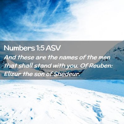 Picture 02 - Numbers 1:5 ASV - And these are the names of the men that shall - Bible Verse Picture