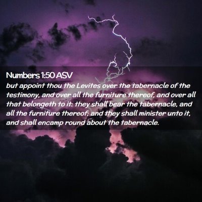 Picture 02 - Numbers 1:50 ASV - but appoint thou the Levites over the tabernacle - Bible Verse Picture
