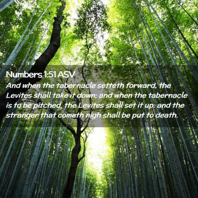 Picture 02 - Numbers 1:51 ASV - And when the tabernacle setteth forward, the - Bible Verse Picture