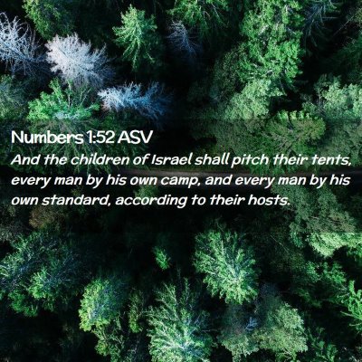 Picture 02 - Numbers 1:52 ASV - And the children of Israel shall pitch their - Bible Verse Picture