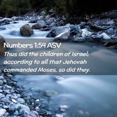 Picture 02 - Numbers 1:54 ASV - Thus did the children of Israel; according to all - Bible Verse Picture