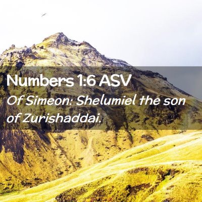 Picture 02 - Numbers 1:6 ASV - Of Simeon: Shelumiel the son of - Bible Verse Picture