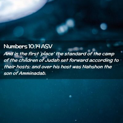 Picture 02 - Numbers 10:14 ASV - And in the first `place' the standard of the camp - Bible Verse Picture