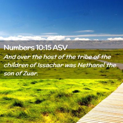 Picture 02 - Numbers 10:15 ASV - And over the host of the tribe of the children of - Bible Verse Picture