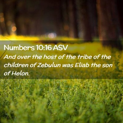 Picture 02 - Numbers 10:16 ASV - And over the host of the tribe of the children of - Bible Verse Picture