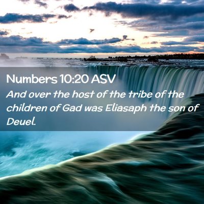 Picture 02 - Numbers 10:20 ASV - And over the host of the tribe of the children of - Bible Verse Picture