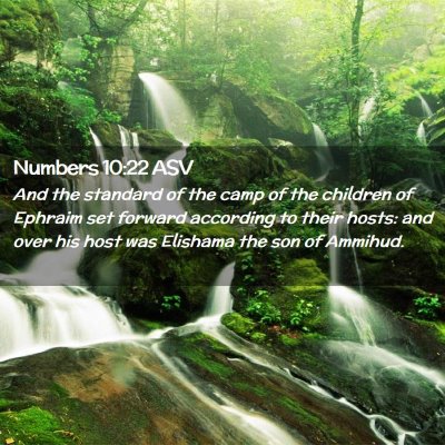 Picture 02 - Numbers 10:22 ASV - And the standard of the camp of the children of - Bible Verse Picture