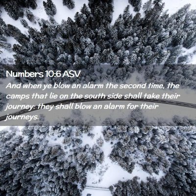 Picture 02 - Numbers 10:6 ASV - And when ye blow an alarm the second time, the - Bible Verse Picture