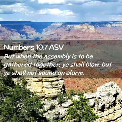 Picture 02 - Numbers 10:7 ASV - But when the assembly is to be gathered together, - Bible Verse Picture