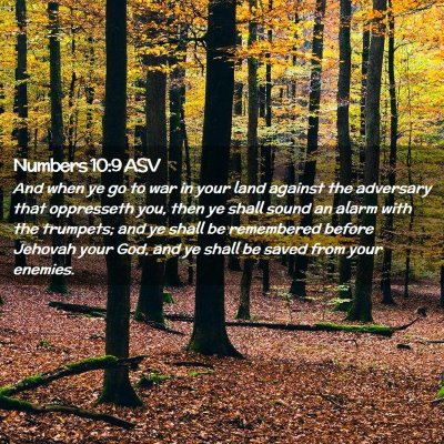 Picture 02 - Numbers 10:9 ASV - And when ye go to war in your land against the - Bible Verse Picture