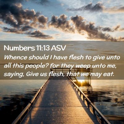 Picture 02 - Numbers 11:13 ASV - Whence should I have flesh to give unto all this - Bible Verse Picture