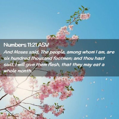 Picture 02 - Numbers 11:21 ASV - And Moses said, The people, among whom I am, are - Bible Verse Picture