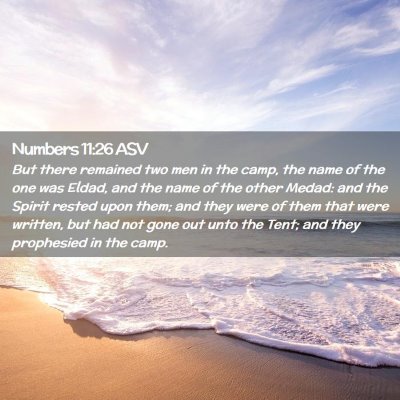 Picture 02 - Numbers 11:26 ASV - But there remained two men in the camp, the name - Bible Verse Picture