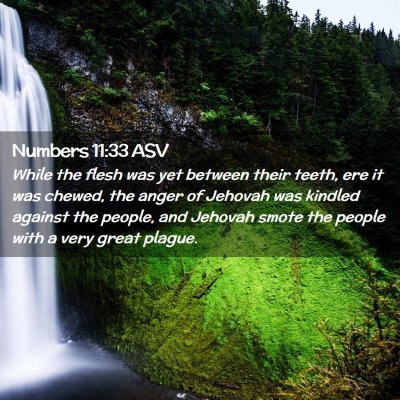 Picture 02 - Numbers 11:33 ASV - While the flesh was yet between their teeth, ere - Bible Verse Picture
