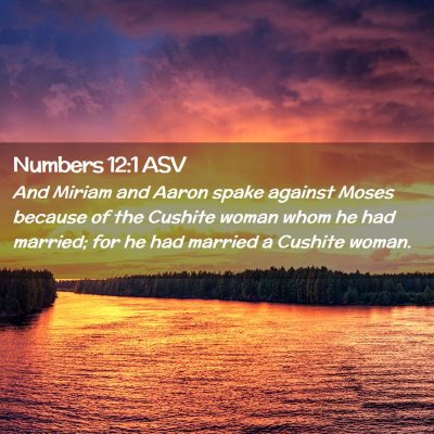 Picture 02 - Numbers 12:1 ASV - And Miriam and Aaron spake against Moses because - Bible Verse Picture