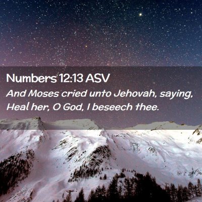 Picture 02 - Numbers 12:13 ASV - And Moses cried unto Jehovah, saying, Heal her, O - Bible Verse Picture
