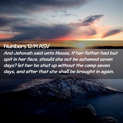Picture 02 - Numbers 12:14 ASV - And Jehovah said unto Moses, If her father had - Bible Verse Picture