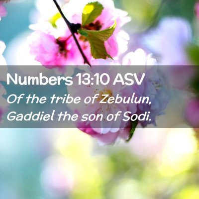 Picture 02 - Numbers 13:10 ASV - Of the tribe of Zebulun, Gaddiel the son of - Bible Verse Picture