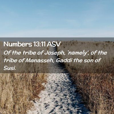 Picture 02 - Numbers 13:11 ASV - Of the tribe of Joseph, `namely', of the tribe of - Bible Verse Picture