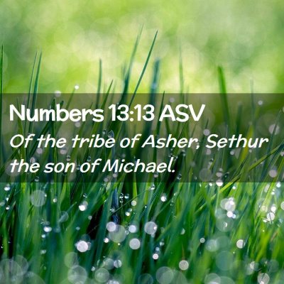 Picture 02 - Numbers 13:13 ASV - Of the tribe of Asher, Sethur the son of - Bible Verse Picture