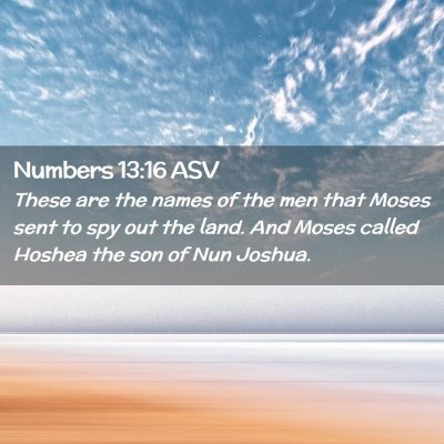 Picture 02 - Numbers 13:16 ASV - These are the names of the men that Moses sent to - Bible Verse Picture