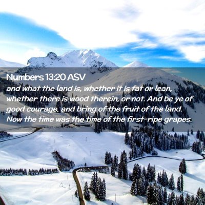 Picture 02 - Numbers 13:20 ASV - and what the land is, whether it is fat or lean, - Bible Verse Picture