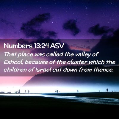Picture 02 - Numbers 13:24 ASV - That place was called the valley of Eshcol, - Bible Verse Picture