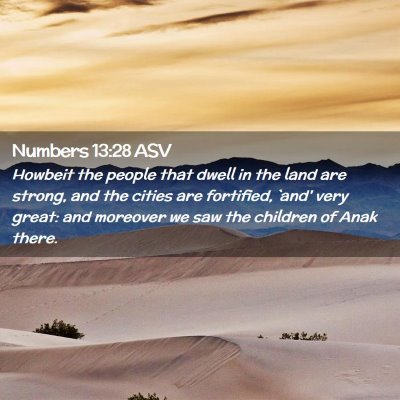 Picture 02 - Numbers 13:28 ASV - Howbeit the people that dwell in the land are - Bible Verse Picture
