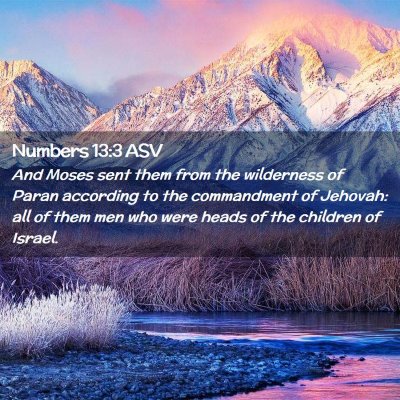 Picture 02 - Numbers 13:3 ASV - And Moses sent them from the wilderness of Paran - Bible Verse Picture