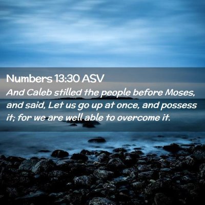 Picture 02 - Numbers 13:30 ASV - And Caleb stilled the people before Moses, and - Bible Verse Picture