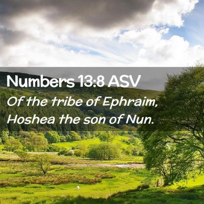 Picture 02 - Numbers 13:8 ASV - Of the tribe of Ephraim, Hoshea the son of - Bible Verse Picture