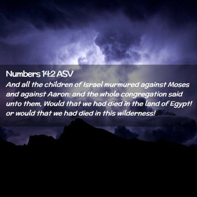 Picture 02 - Numbers 14:2 ASV - And all the children of Israel murmured against - Bible Verse Picture