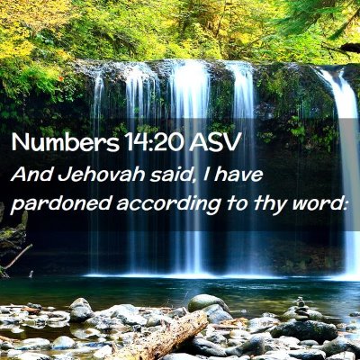 Picture 02 - Numbers 14:20 ASV - And Jehovah said, I have pardoned according to - Bible Verse Picture