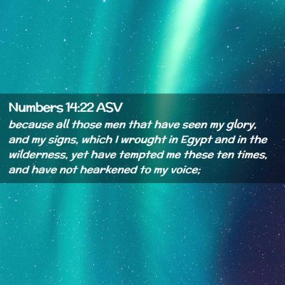 Picture 02 - Numbers 14:22 ASV - because all those men that have seen my glory, - Bible Verse Picture