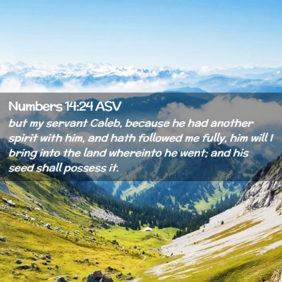 Picture 02 - Numbers 14:24 ASV - but my servant Caleb, because he had another - Bible Verse Picture
