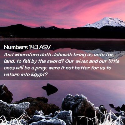 Picture 02 - Numbers 14:3 ASV - And wherefore doth Jehovah bring us unto this - Bible Verse Picture