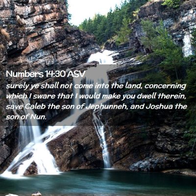 Picture 02 - Numbers 14:30 ASV - surely ye shall not come into the land, - Bible Verse Picture