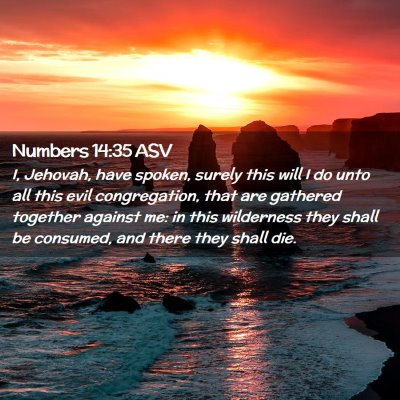 Picture 02 - Numbers 14:35 ASV - I, Jehovah, have spoken, surely this will I do - Bible Verse Picture