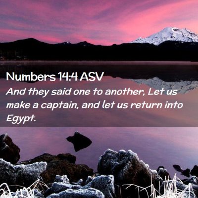 Picture 02 - Numbers 14:4 ASV - And they said one to another, Let us make a - Bible Verse Picture